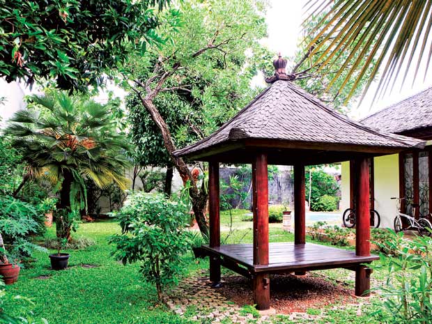 nha dep1 Thích thú với nhà có mái gỗ mang phong cách Bali cổ điển