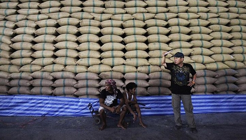 gao Thai 8640 1396498950 Nguy cơ cuộc chiến giá gạo tại châu Á sắp bùng nổ