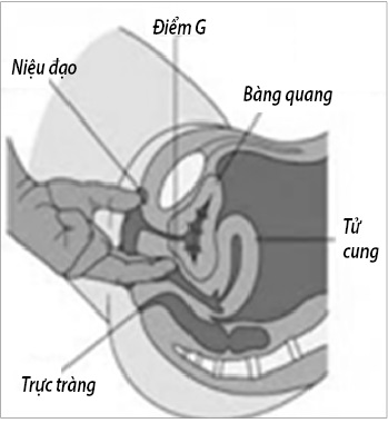 photo 0 1499752533456 Bí quyết làm tăng nhạy cảm điểm G