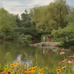 [Video] Giới thiệu công viên trung tâm – Central park