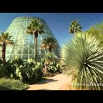 [Video] Thành phố San Antonio cổ kính